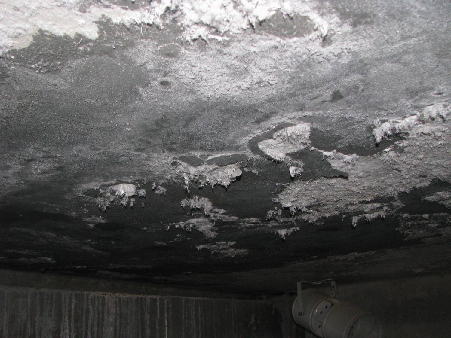 Выцветы на поверхности бетона