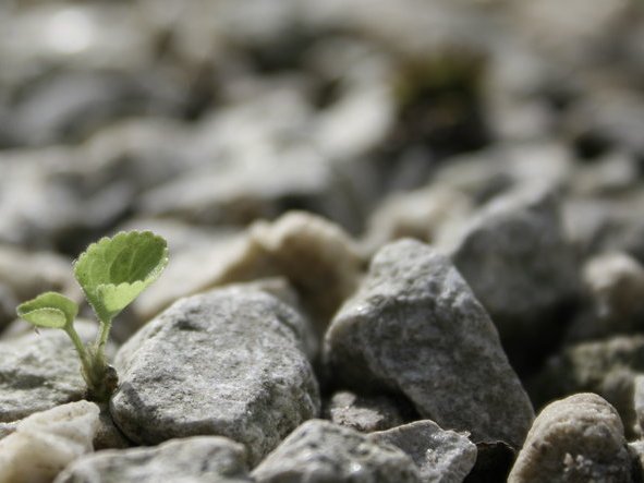 Гранитный щебень